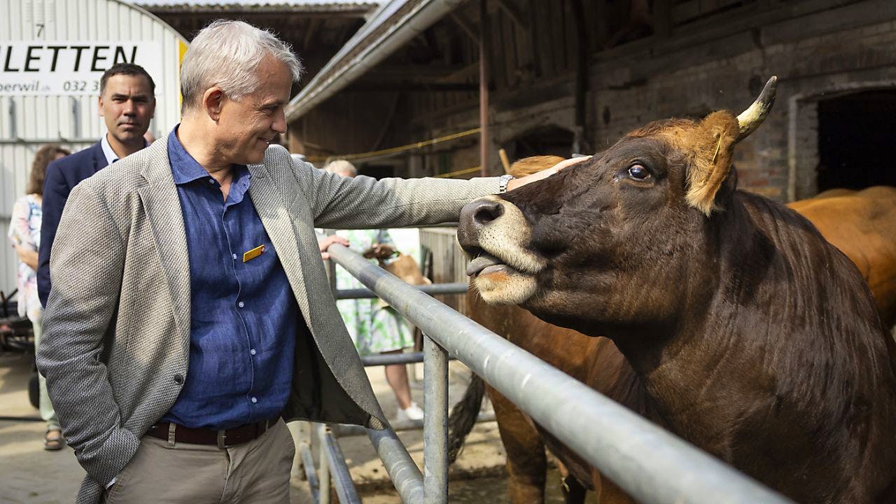 Nationalfeiertag. Kanton Bern feiert 1. August mit Nemo und Grilladen