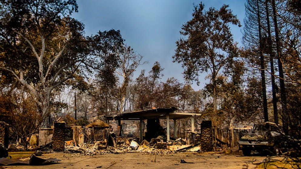 Hinter der Feuerfront. Freiwillige retten bei Waldbrand zurückgelassene Haustiere