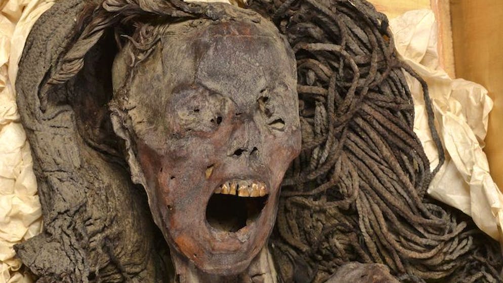 Forscherinnen lüften Geheimnis. «Schreiende Mumie» zeigt wohl den letzten Todeskampf