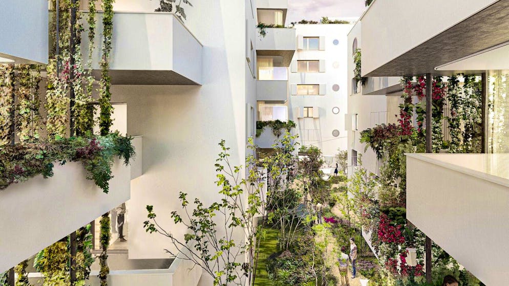 This is what the housing estate should look like.