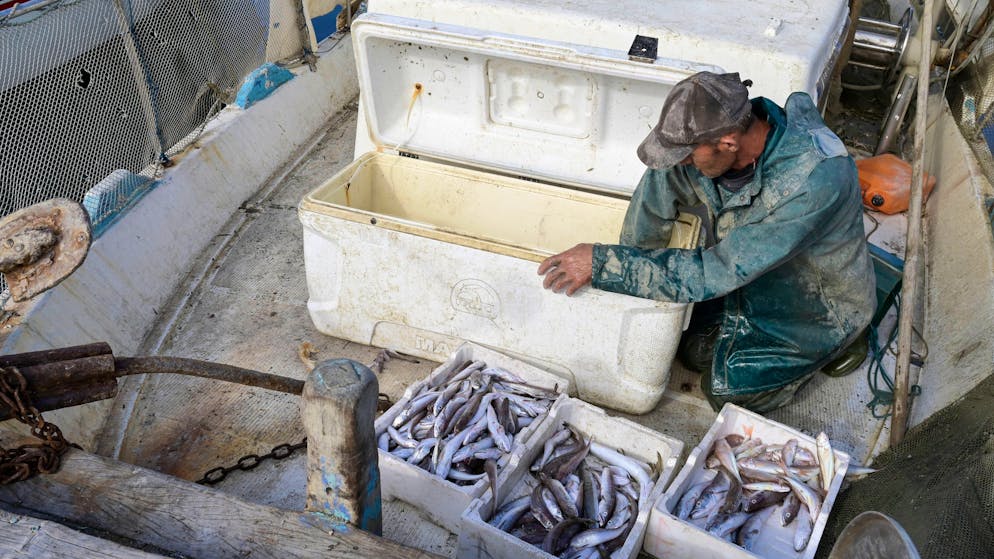 Wenn «Meeresrotz» Netze und Schiffsschrauben verstopft, gehen die Fischer auf der Adria leer aus. (Symbolbild)