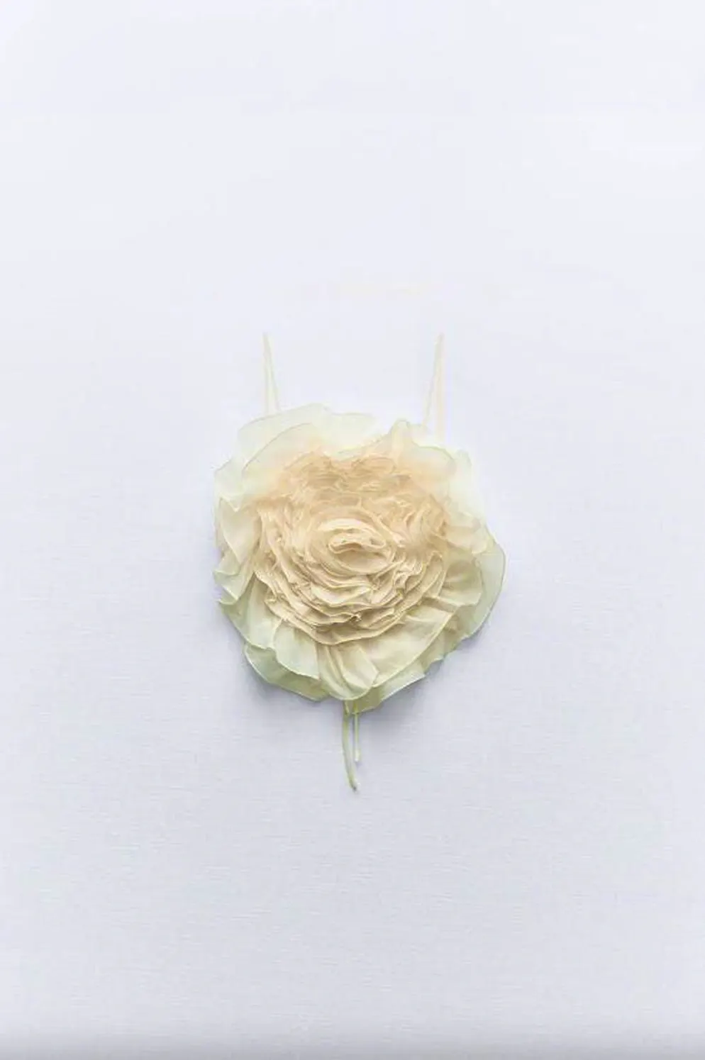 Fashion trend in summer 2024: 3D tops. Crop top with large organza flower from Zara for around 48 francs.