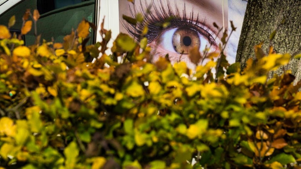 Many Swiss people find things they don't like on the other side of the hedge.