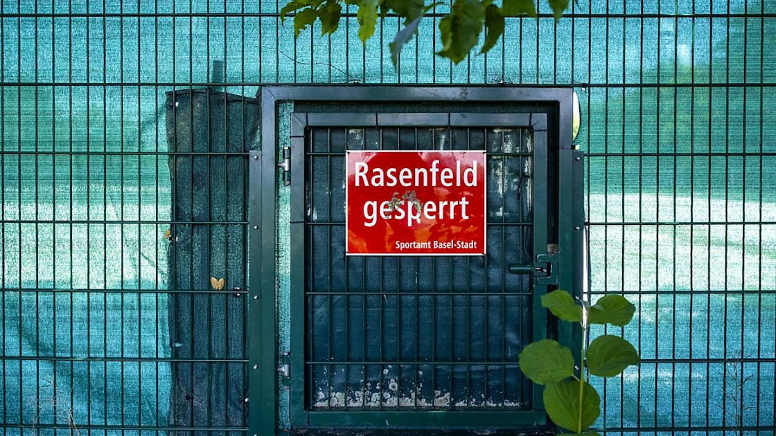 Japanese beetle: Artificial turf as a replacement for closed football fields in Basel