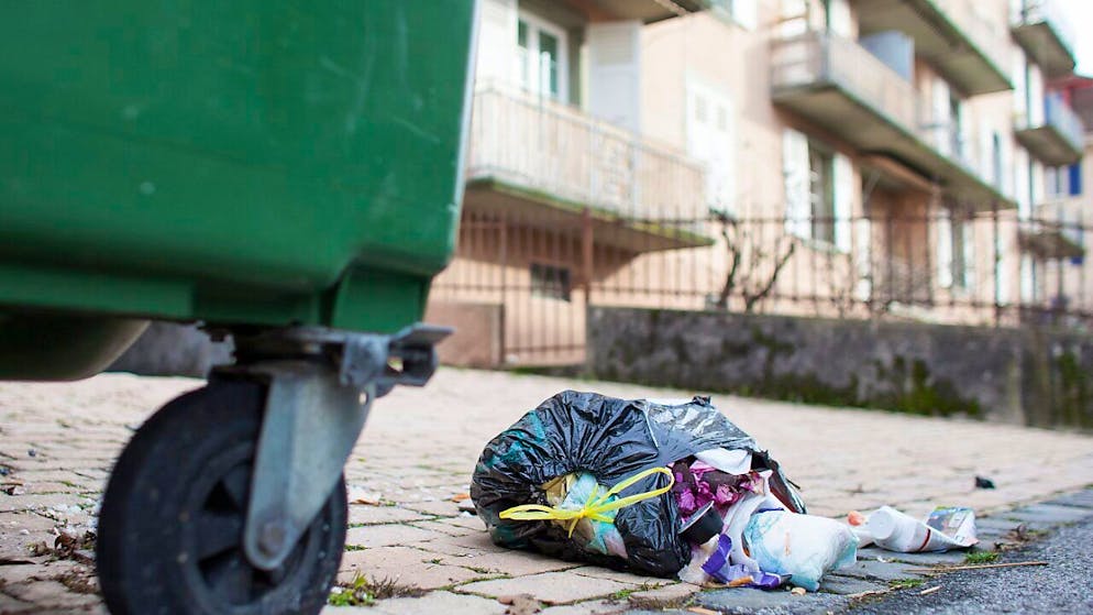Les agents de propreté peuvent infliger des amendes d'ordre aux contrevenants (Image d'illustration)