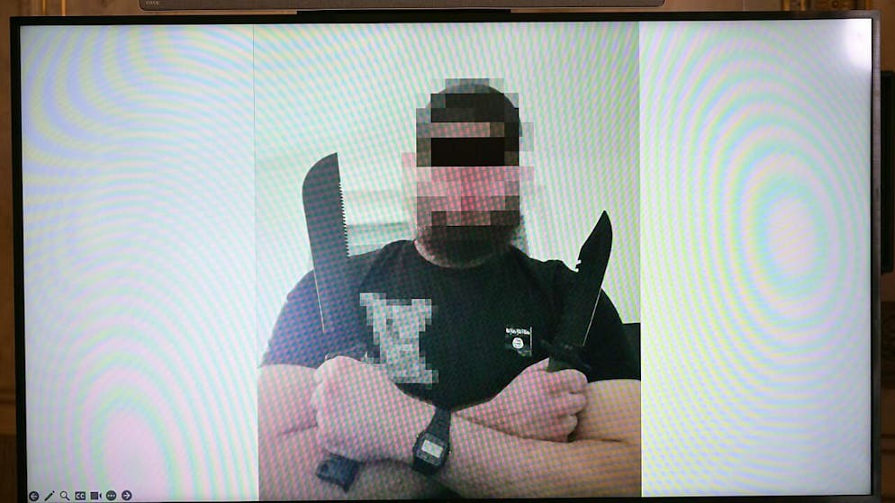 Una delle persone arrestate che intendeva compiere una strage al concerto di Taylor Swift a Vienna.