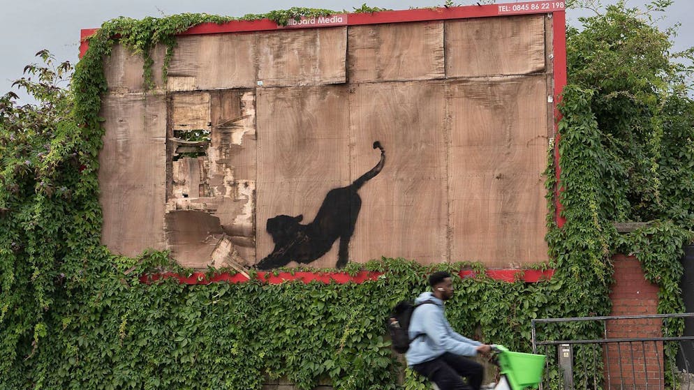 Katze bei Dehnübung: Banksy setzt Bilderreihe in London fort - Gallery. Mit seiner Bilder-Reihe will Banksy wohl die Menschen aufmuntern.
