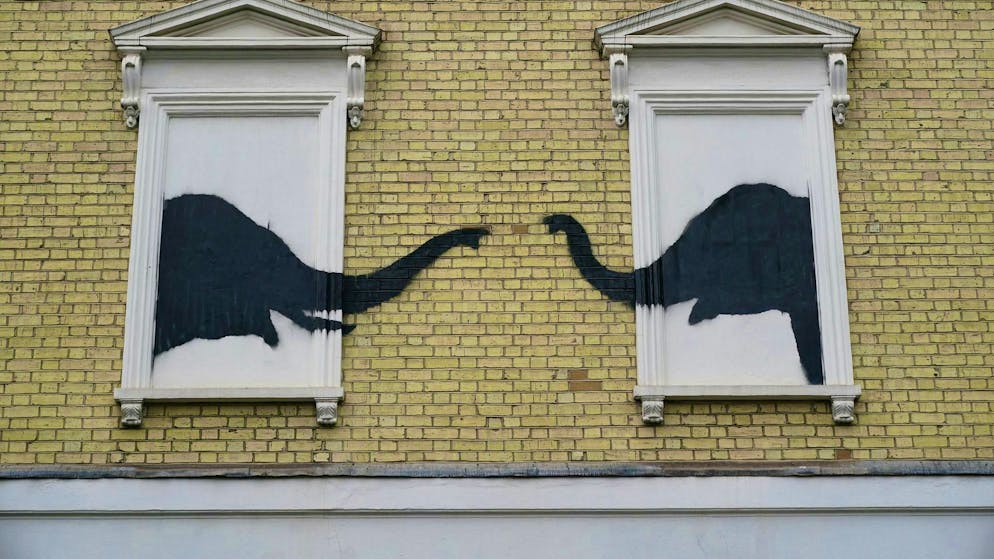Cat stretching: Banksy continues series of paintings in London - Gallery. The two elephants were associated with the saying "Elephant in the room", for a problem that cannot be overlooked but that nobody talks about.