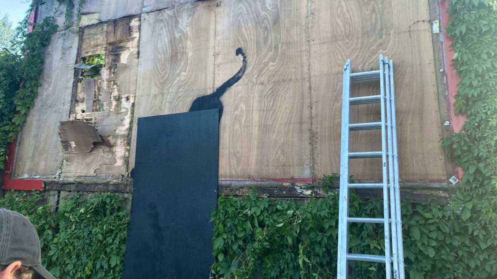 Katze bei Dehnübung: Banksy setzt Bilderreihe in London fort - Gallery. Der Eigentümer der Werbetafel, auf die Banksy seine Katze gesprüht hat, soll versprochen haben, sie einer Kunstgalerie zu spenden.