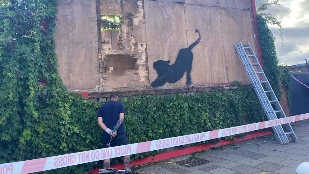 Katze bei Dehnübung: Banksy setzt Bilderreihe in London fort - Gallery. Die Polizei hat den Bereich um die Werbetafel mit dem Banksy-Werk abgesperrt.