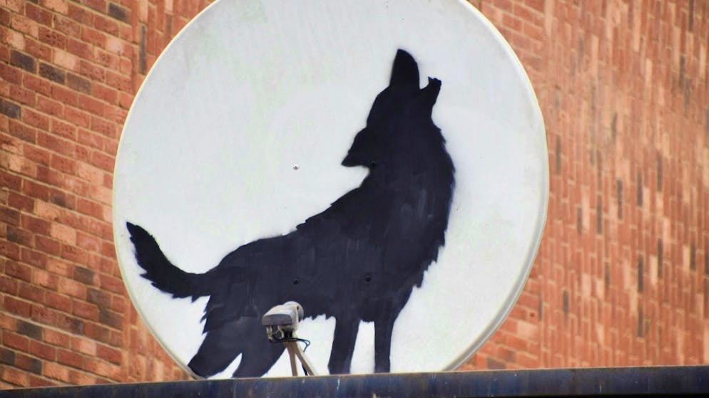 Cat stretching: Banksy continues series of paintings in London - Gallery. The satellite dish with the howling wolf disappeared shortly after it appeared. 