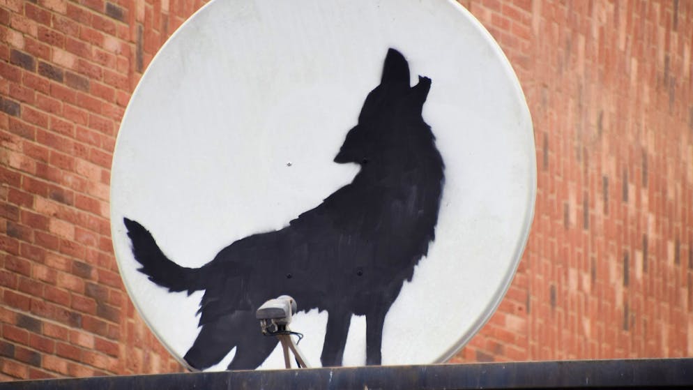 Katze bei Dehnübung: Banksy setzt Bilderreihe in London fort - Gallery. Die Satelliten-Schüssel mit dem heulenden Wolf verschwand kurz nachdem sie aufgetaucht war. 