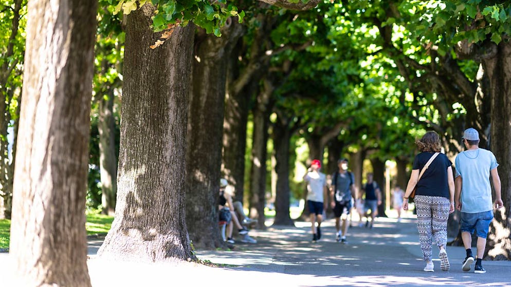 Passers-by take a break at the larger Hitze in Schatten under the Bäumen am Ufer des Luganersees. (Archive image)