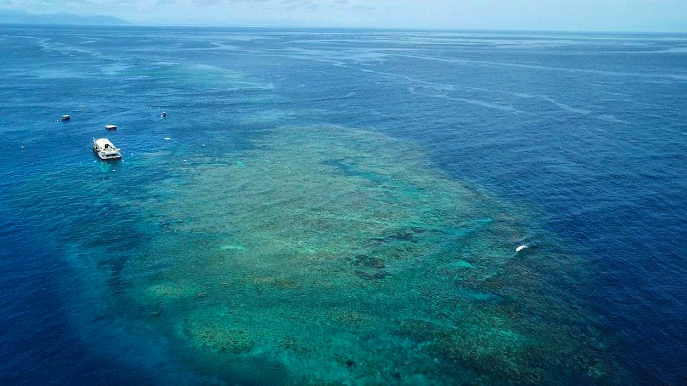 The Australian city of Cairns is the starting point for excursions to the Great Barrier Reef. (archive picture)