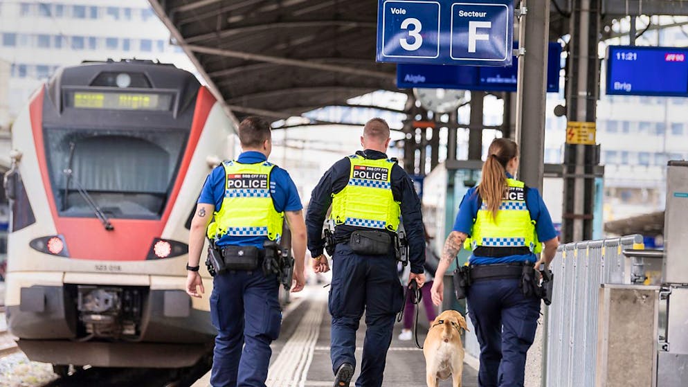 En tout 100 caméras corporelles vont être achetées (archives).