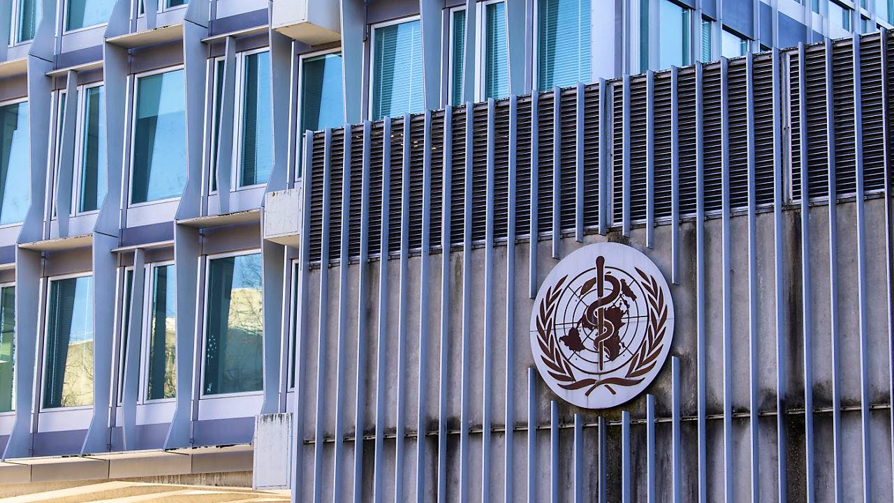 Gesundheit. Mpox-Fälle im Juni weltweit leicht zurückgegangen