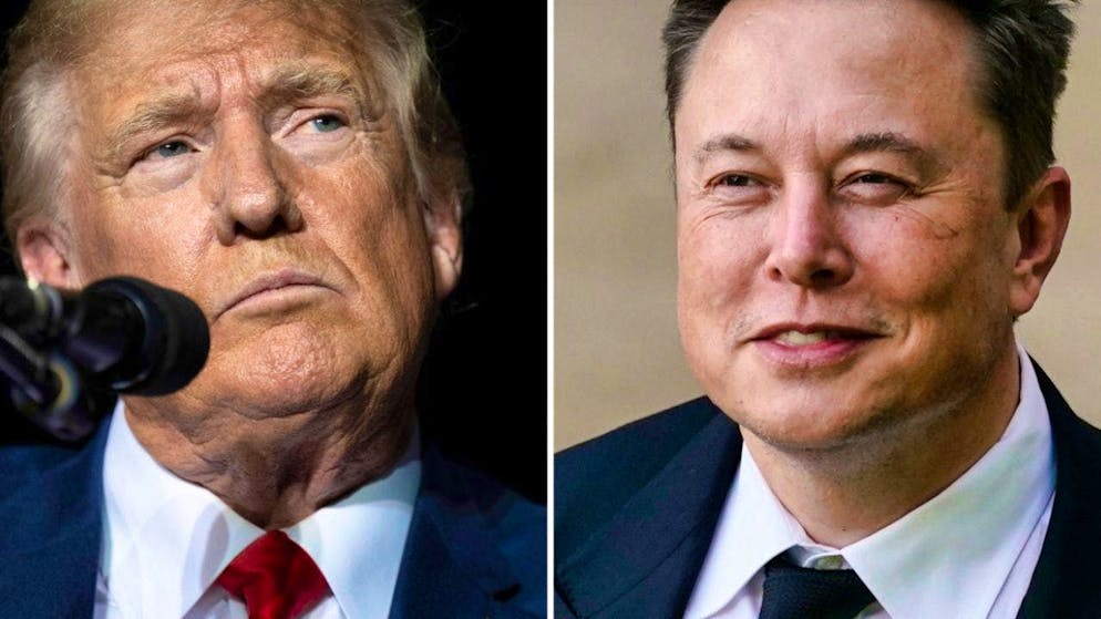 This photo combination shows Donald Trump (l), former President of the USA, and Elon Musk. Photo: Matt Rourke/Jos' Luis Villegas/AP/dpa