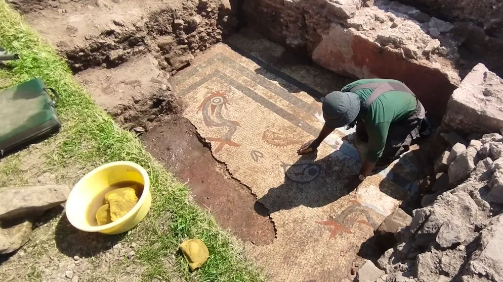 Archaeological find in England. Roman mosaic with dolphins discovered