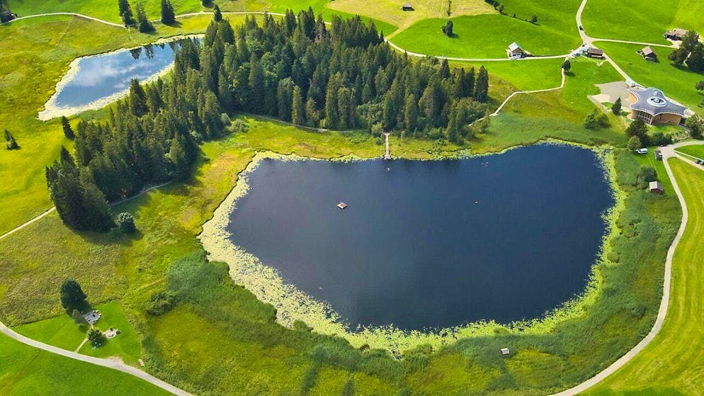 A 73-year-old man drowned in Lake Schwendi near Wildhaus.