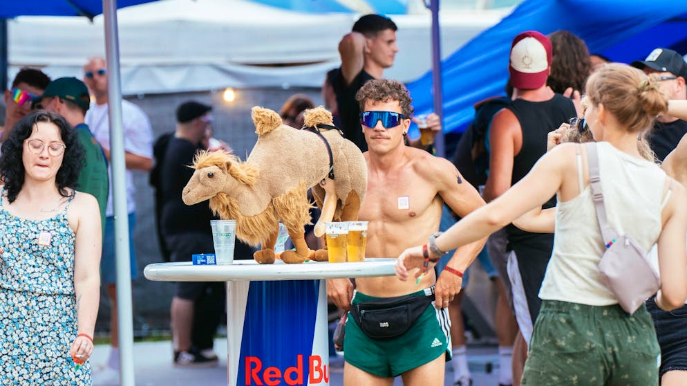 BG Gampel 3. Kamele können in 15 Minuten rund 200 Liter Flüssigkeit aufnehmen. Ob das sinnbildlich für den Durst der Gampel-Besucher*innen steht, sei dahingestellt.