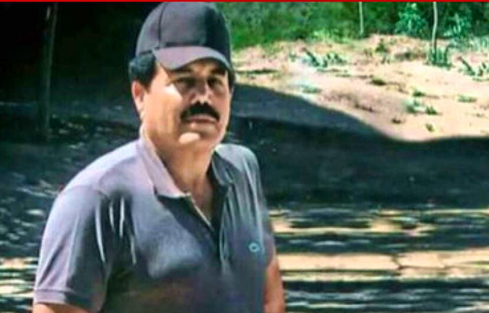 Ismael «El Mayo» Zambada: Der Gründer des Sinaloa-Drogenkartells bezichtigt den Sohn von «El Chapo», hinter seiner Auslieferung an die US-Justiz zu stecken. 