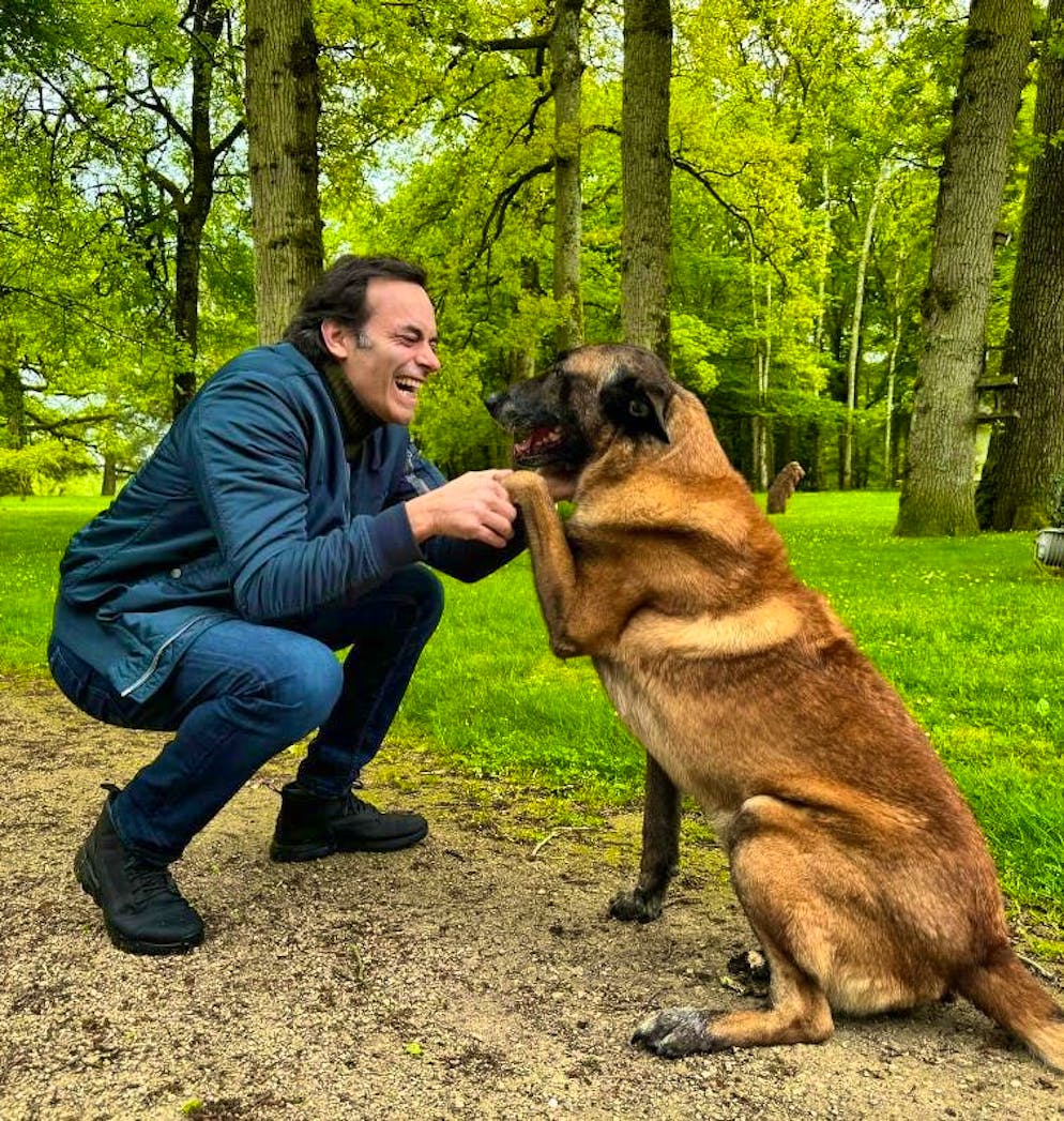 Loubo should accompany him to the grave: Alain Delon is buried next to his  dogs | blue News