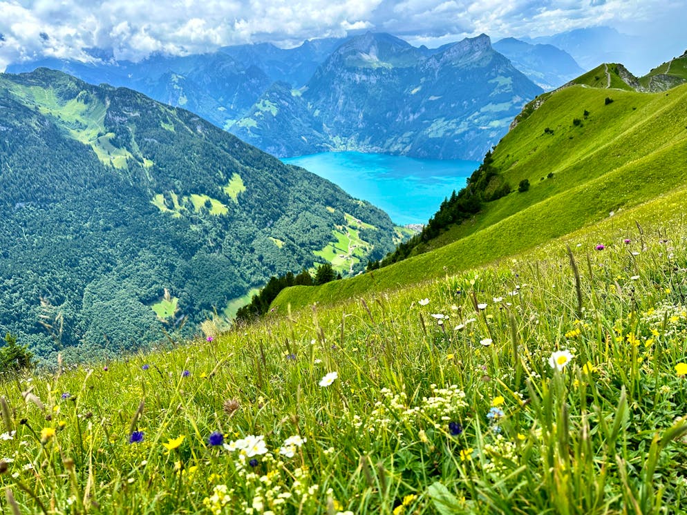 Die Aussicht vom Stoos ist unvergleichlich – das finden auch massenhaft Tourist*innen aus aller Welt.