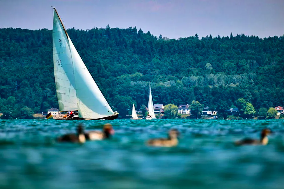 A search is underway for two sailors on Lake Constance.