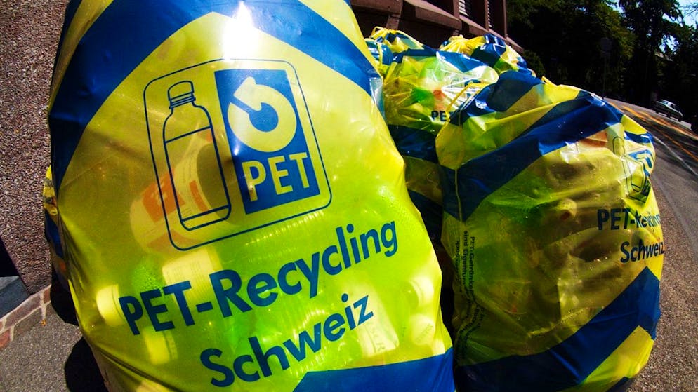 Strafbefehl. Frau platziert Pet-Sack auf Beifahrersitz – das wird teuer