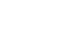 Fussball-Icon mit Text: Nummer 1 Sportprogramm in der Schweiz mit 2500 Live-Events jährlich.