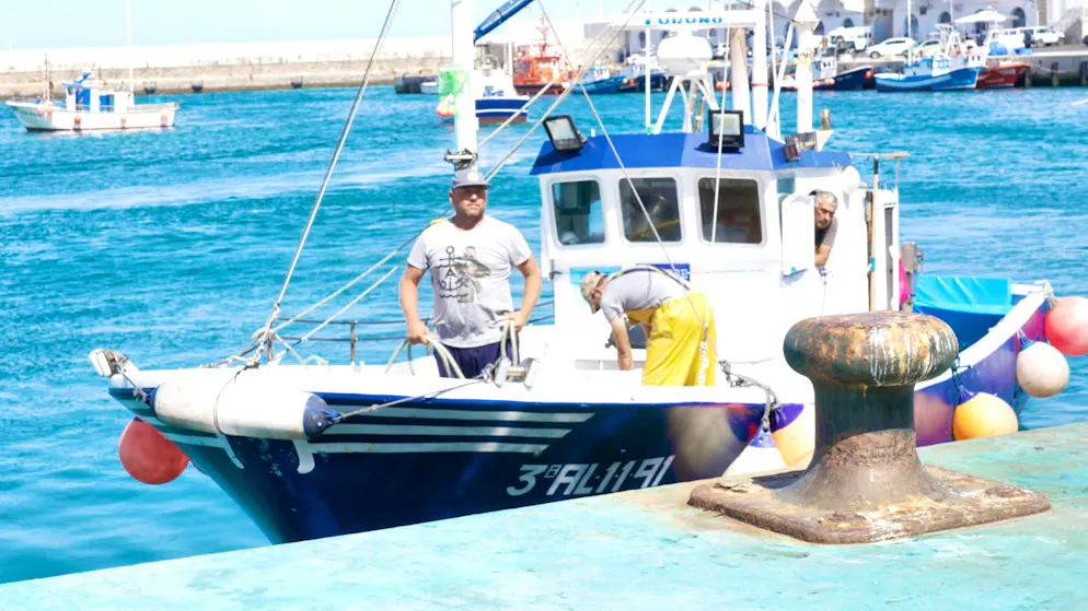 Bluefin tuna. The fishermen, like José Antonio, live from it and so do the orcas. They snatch the tuna from the fishing lines.