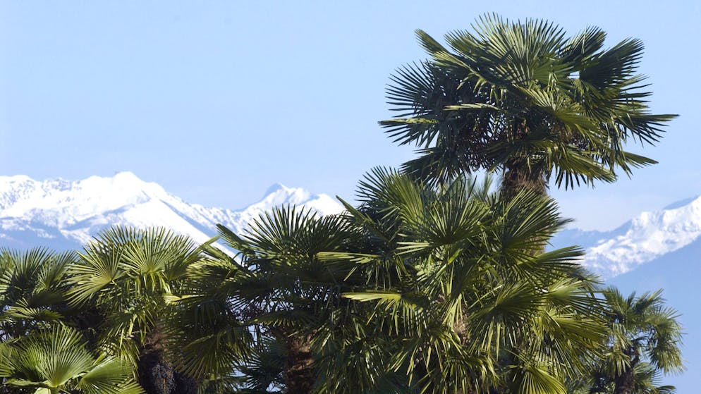 Una sintesi. Molti i cambiamenti a settembre in Svizzera, ecco quelli più incisivi