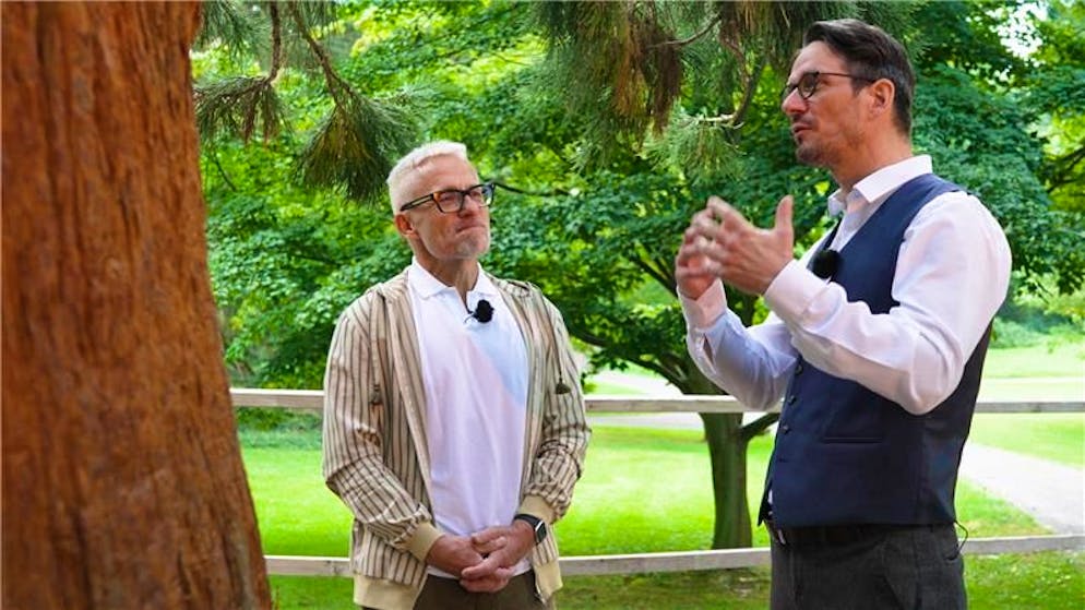 Bötschi asks Björn Count Bernadotte. 