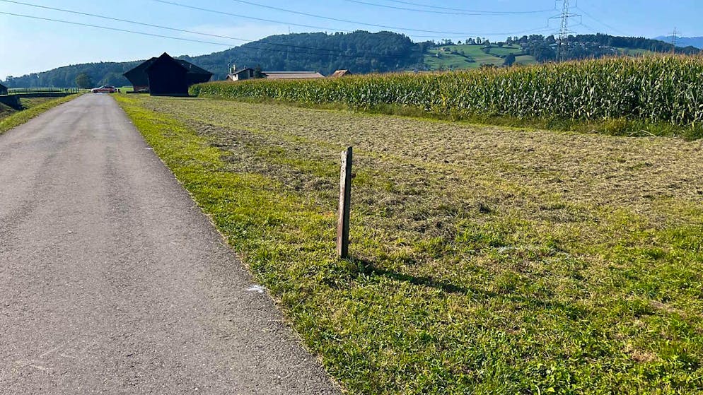 Ein 56-jähriger Mann stürzte mit seinem E-Bike und zog sich tödliche Verletzungen zu. Im Bild zu sehen ist die Unfallstelle.