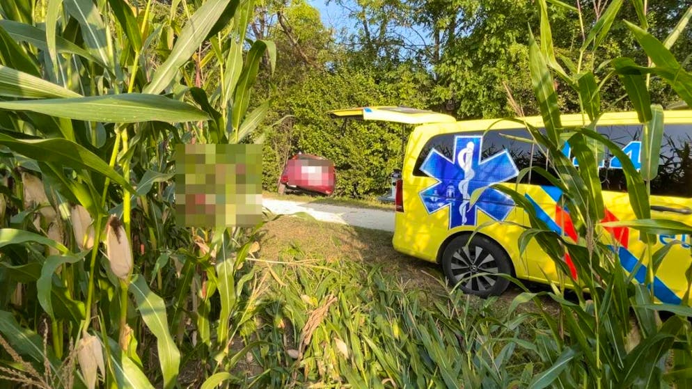 Il conducente 65enne è morto sul luogo dell'incidente nonostante i tentativi di rianimazione.