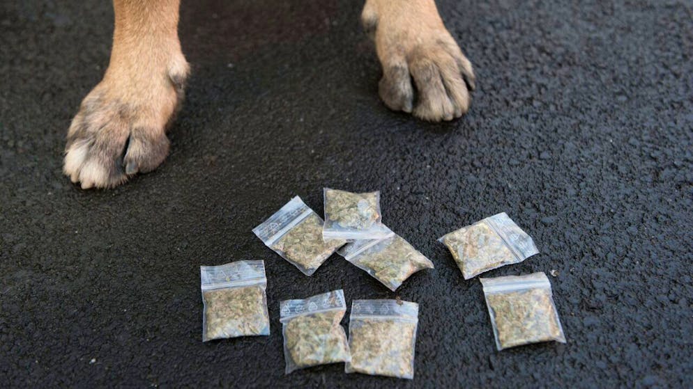 La représentante des douanes a souligné qu'il s'agissait d'une "saisie record sur le secteur" (photo d'illustration).