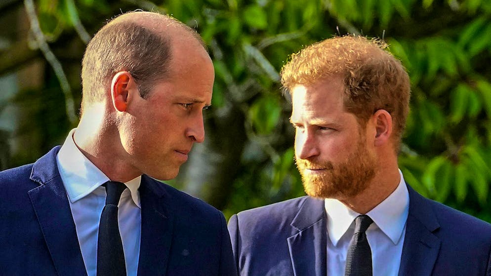 Clima sempre teso tra i fratelli William ed Harry.