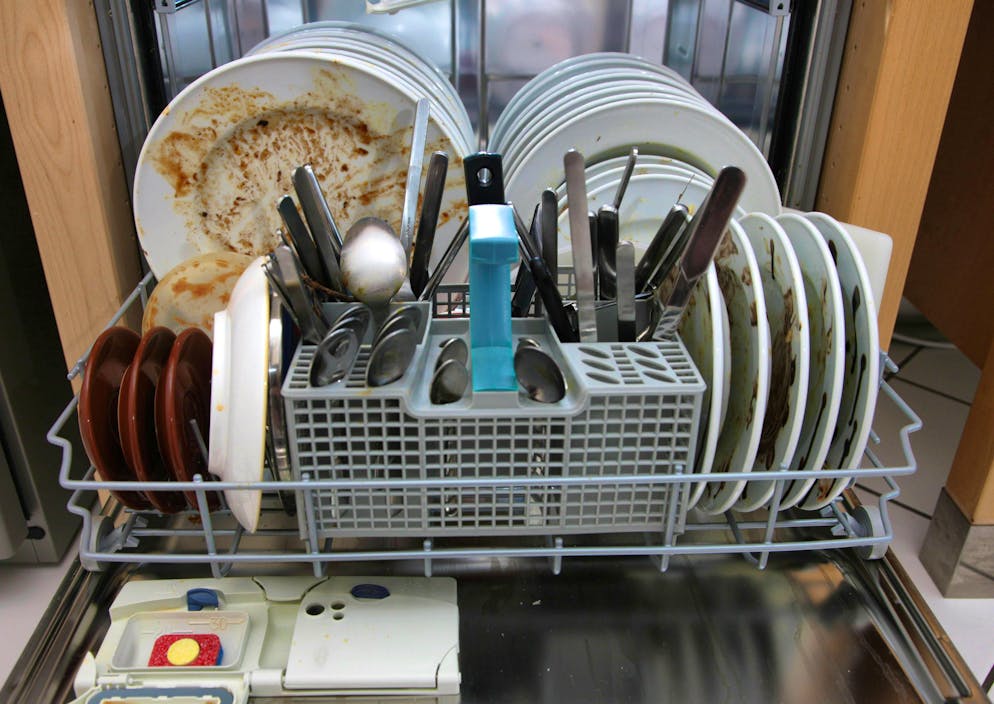 Food residue can accumulate in the rubber seals of the dishwasher and mold can form.