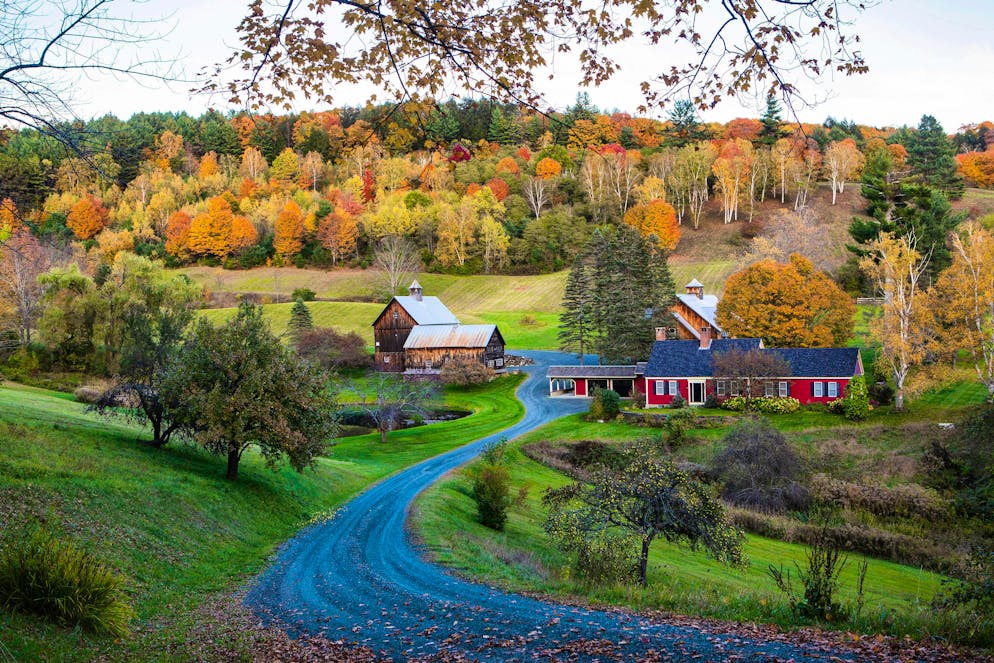 Thousands of Instagrammers wanted this tranquil farm as a backdrop. But that's all over now.