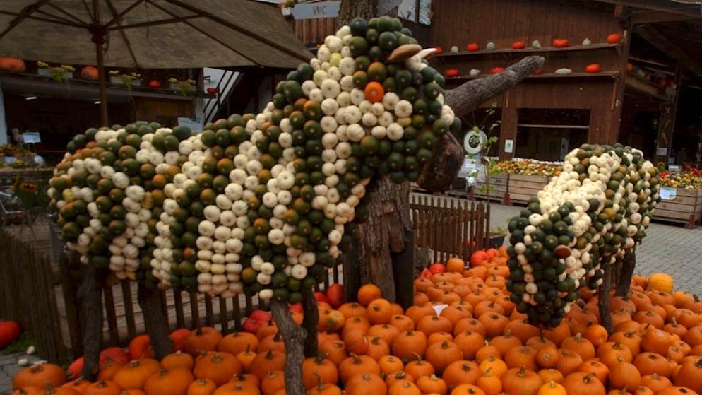 Massen-Ansturm wurde zu viel. Zürcher Touristen-Magnet verlangt jetzt Eintritt