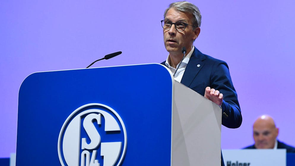 Zwischen 2018 und 2024 war Knäbel beim deutschen Grossklub Schalke 04 tätig.