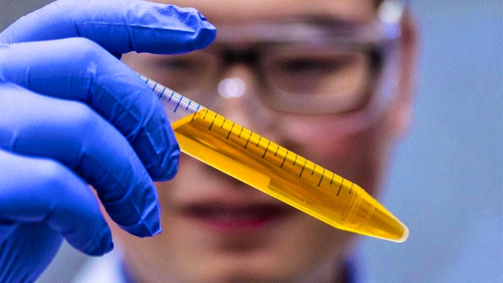 A researcher holds a vial containing the yellow food coloring tartrazine. By applying the dye solution, researchers made the skin of living mice transparent.