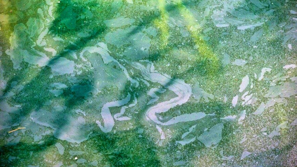 The fire departments of Péry-La Heutte and Biel used oil booms to combat oil pollution in the Schüss and Lake Biel.