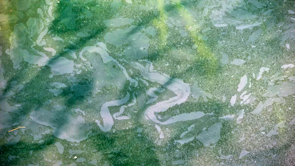 Des barrages anti-pollution ont été installés après un déversement de mazout à Péry (BE) dans la Suze et jusqu'au lac de Bienne (image symbolique).