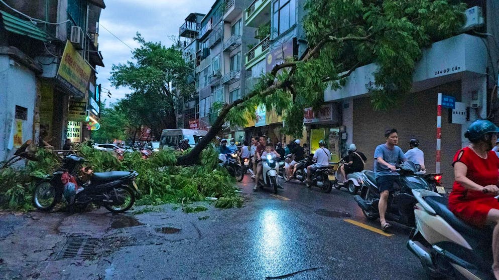 Typhoon claims at least 22 lives in Vietnam - Gallery. A number of trees have fallen as a result of the typhoon.