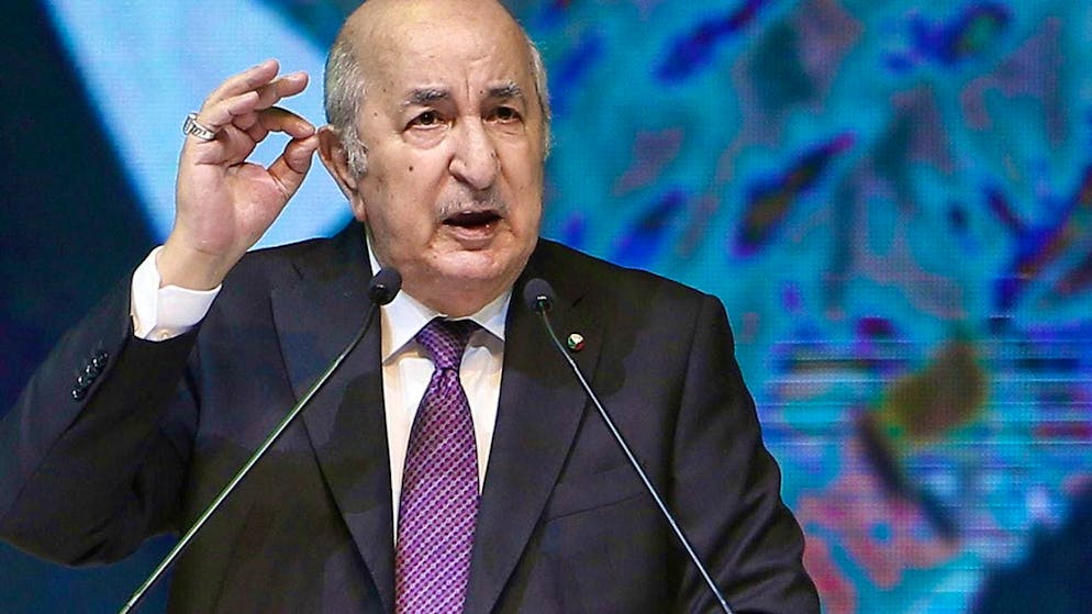 Algerian President Abdelmadjid Tebboune during a speech. Photo: STR/AP/dpa