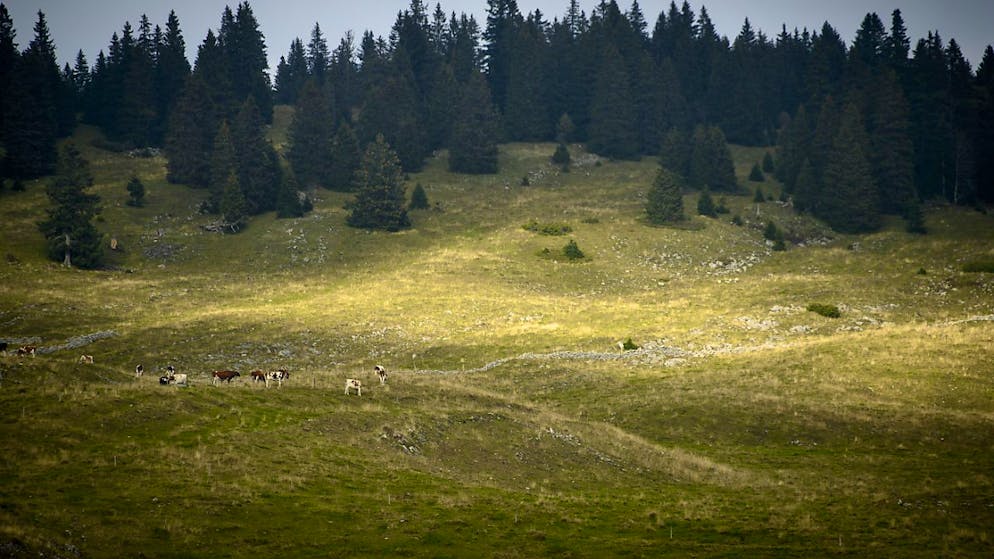La localisation précise du nouveau toit du Jura est maintenue secrète (image prétexte).