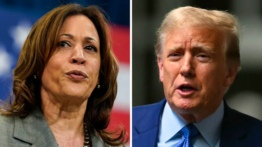 Am 5. November wählt Amerika eine neue Präsidentin oder einen neuen Präsidenten. (Archivbild)