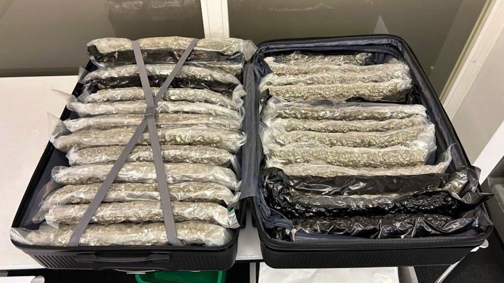 Three people arrested in Zurich. Customs find 160 kilos of marijuana in flight baggage