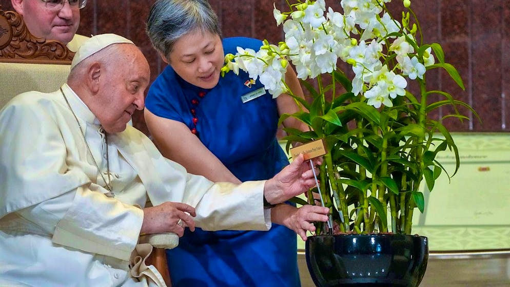 Hwang Yu-Ning, Chief Executive Officer of Singapore's National Parks Board, presents Pope Francis with a "Dendrobium His Holiness Pope Francis", a specially cultivated orchid species named after him. Photo: Gregorio Borgia/AP/dpa